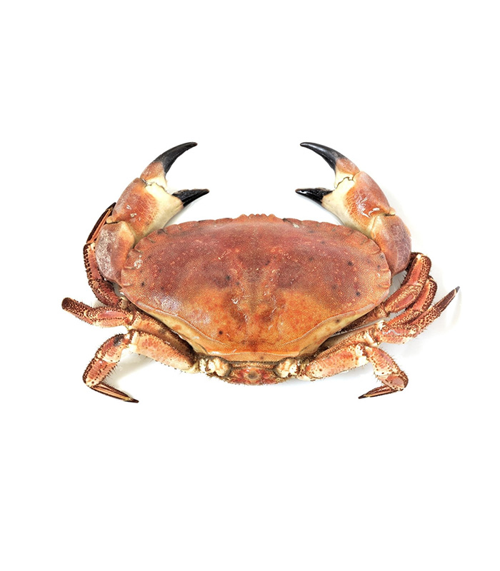 Cornish Crab (Whole)