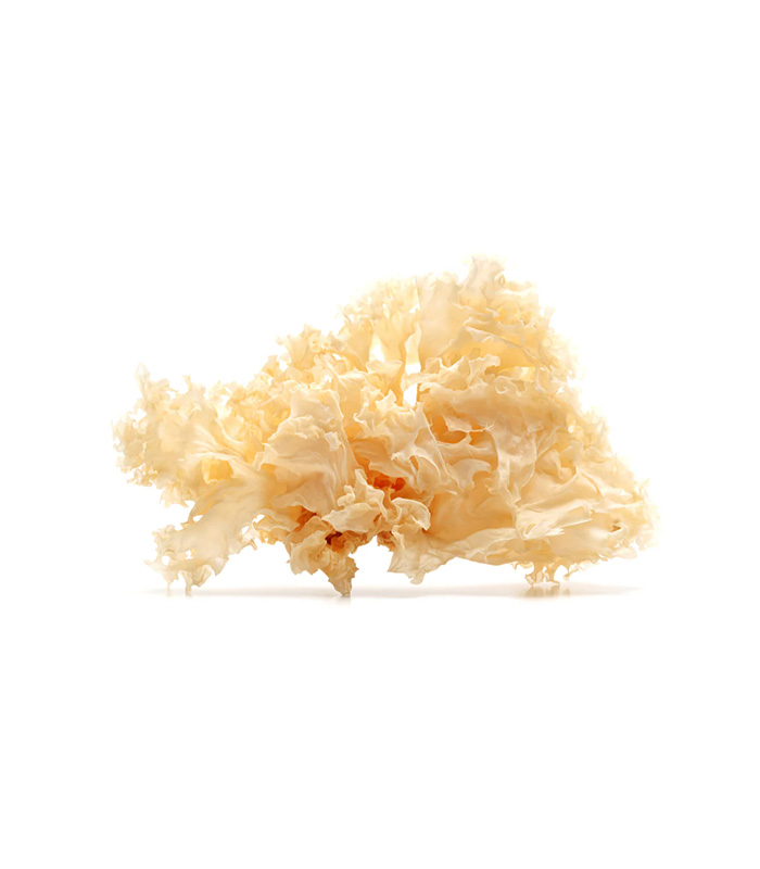 Dried White Fungus